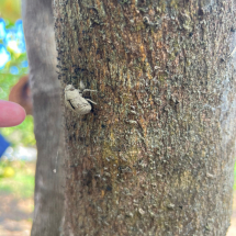 LINE_ALBUM_20230909旭清保經柚見幸福保戶服務活動_230911_59